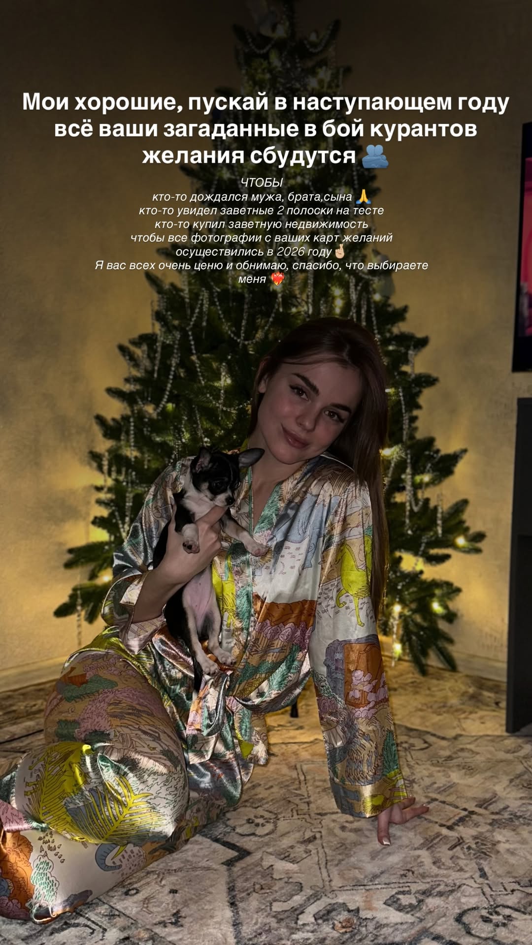 новая фото в сторис @dr_elisss 31.12.2025
