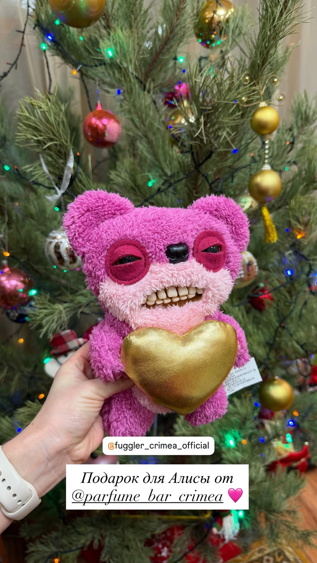 новая фото в сторис @feya_evpa 01.01.2026