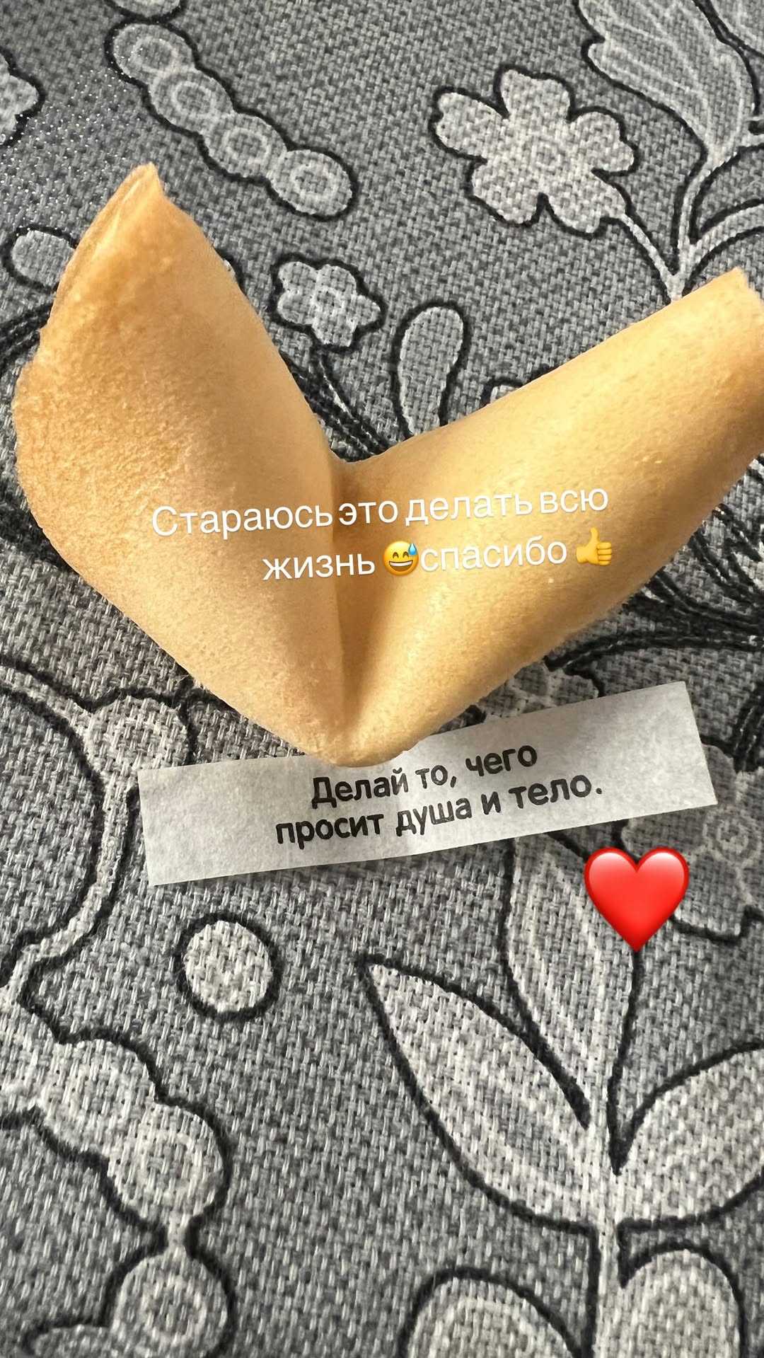 новая фото в сторис @kseniashg 01.01.2026