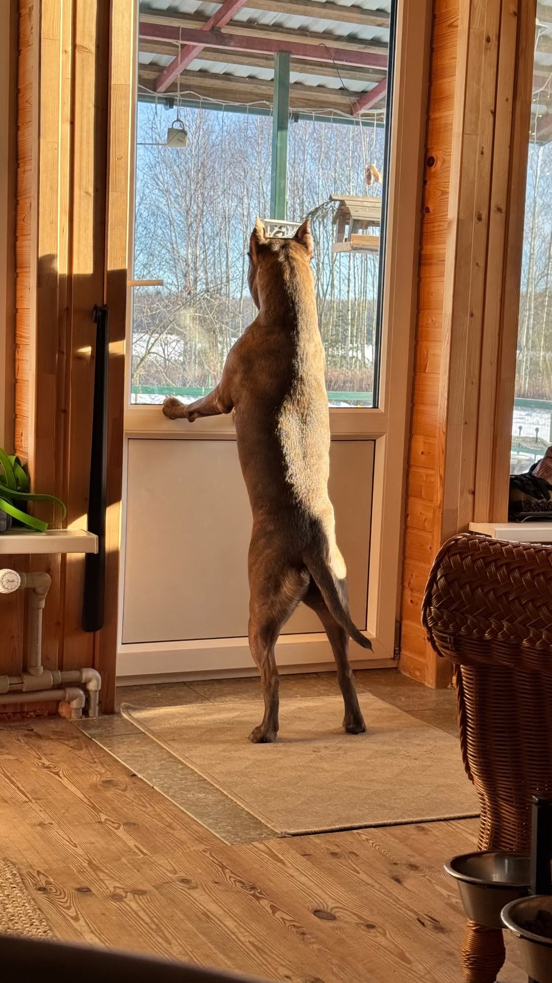 новая фото в сторис @ast_roki 01.01.2026