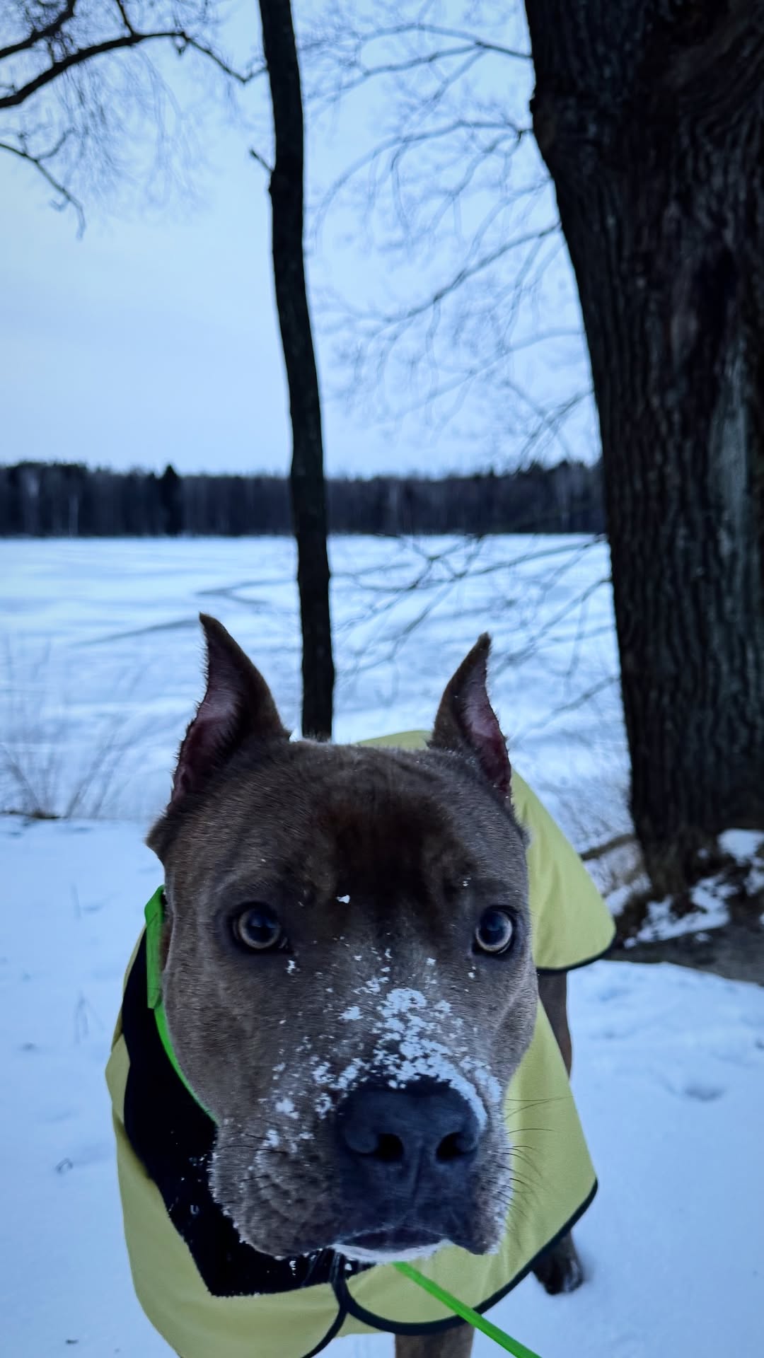 новая фото в сторис @m.elena_s 01.01.2026