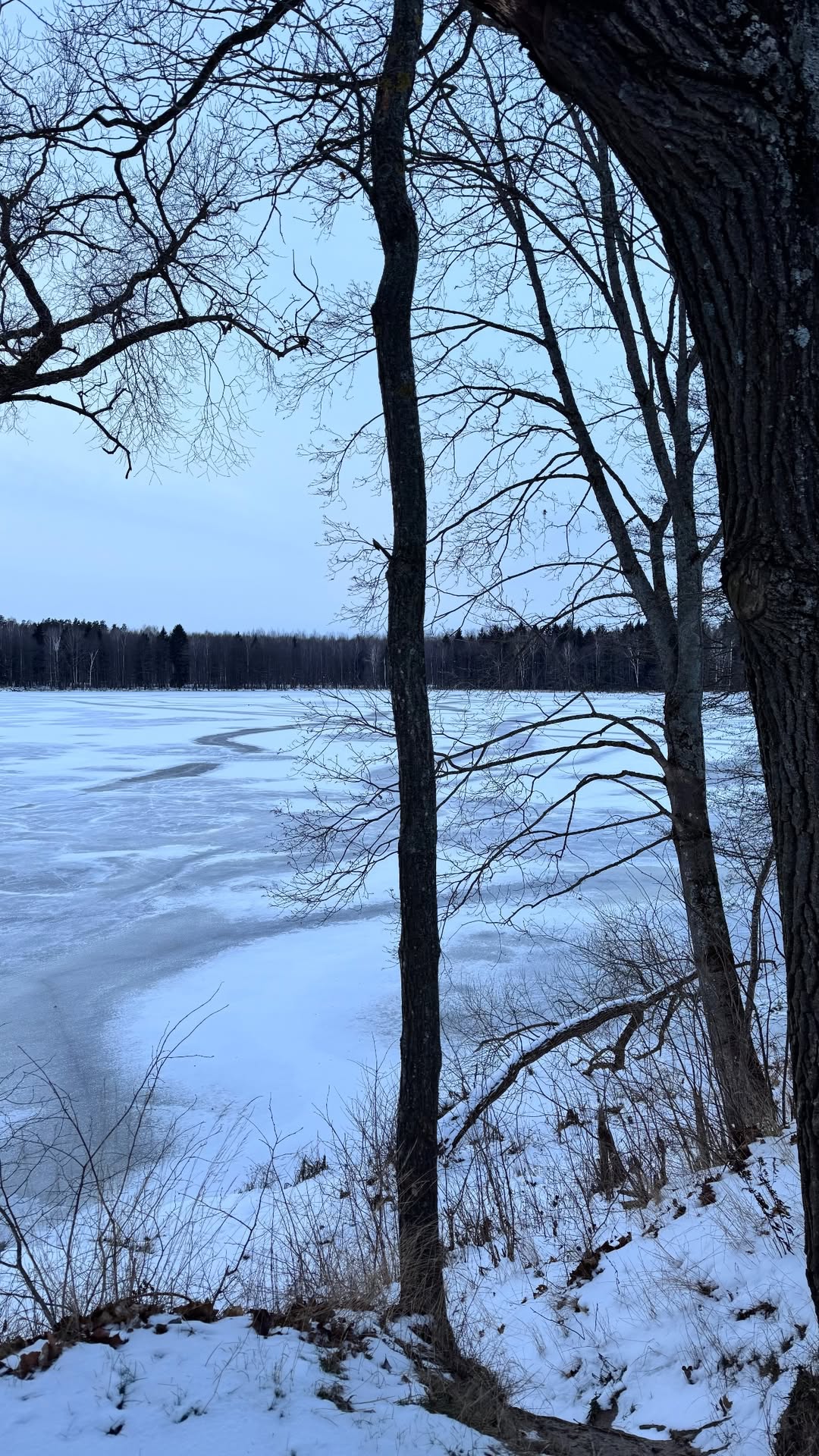 новая фото в сторис @m.elena_s 01.01.2026