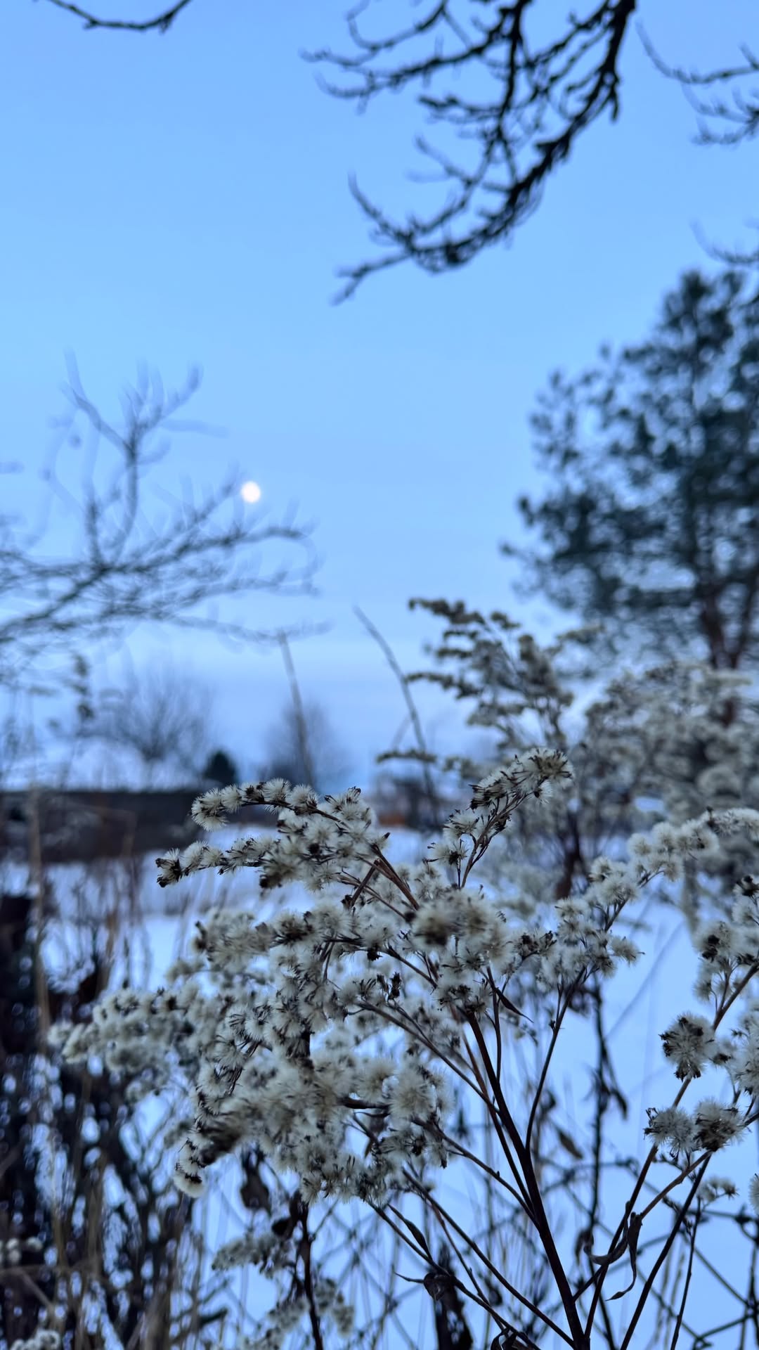 новая фото в сторис @m.elena_s 01.01.2026