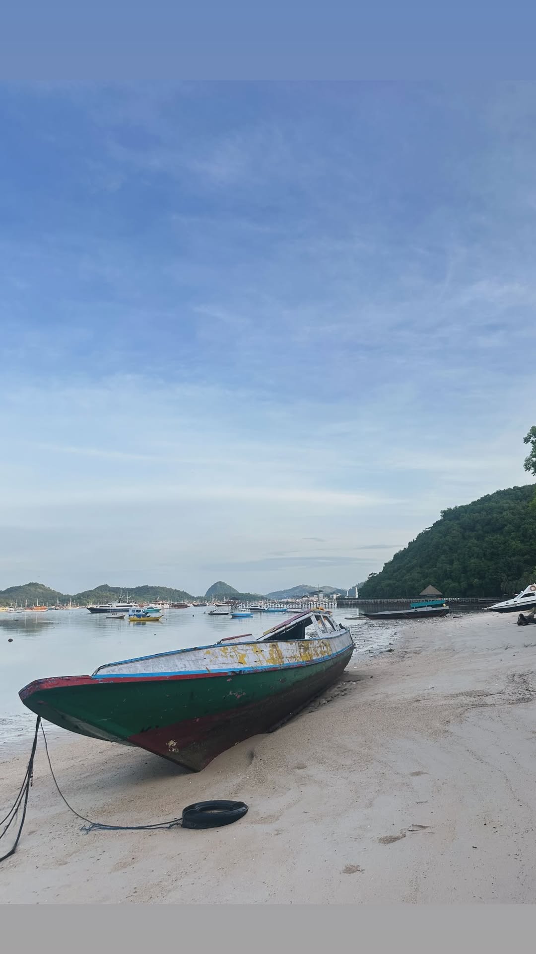 новая фото в сторис @catmars08 02.01.2026