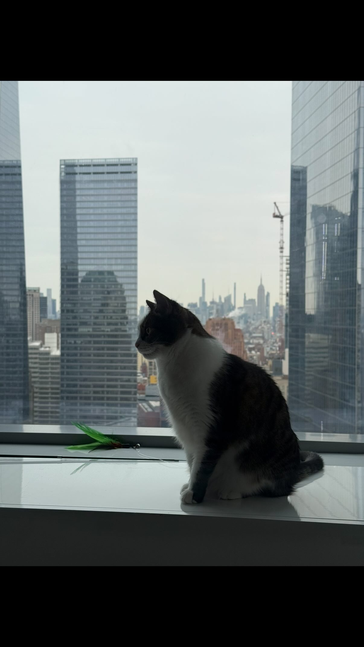 новая фото в сторис @aleksmiro 02.01.2026