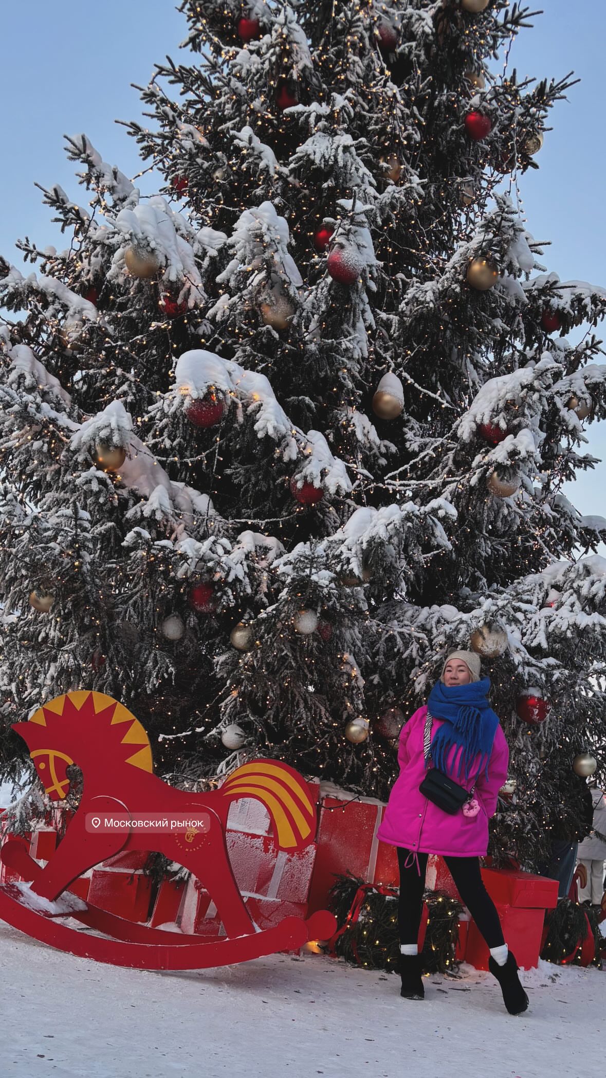 новая фото в сторис @efremova_nn 02.01.2026