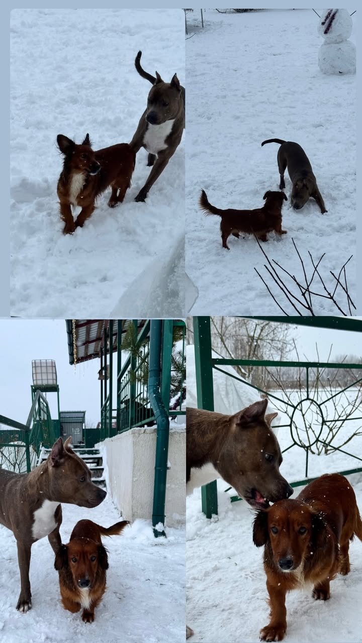 новая фото в сторис @ast_roki 03.01.2026