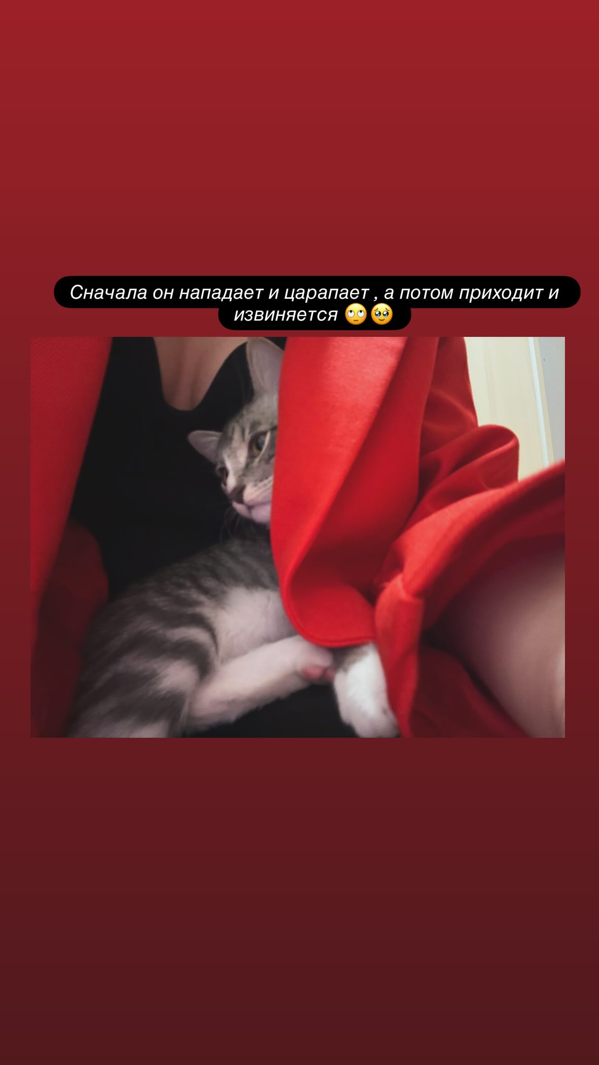 новая фото в сторис @shagiyass 03.01.2026