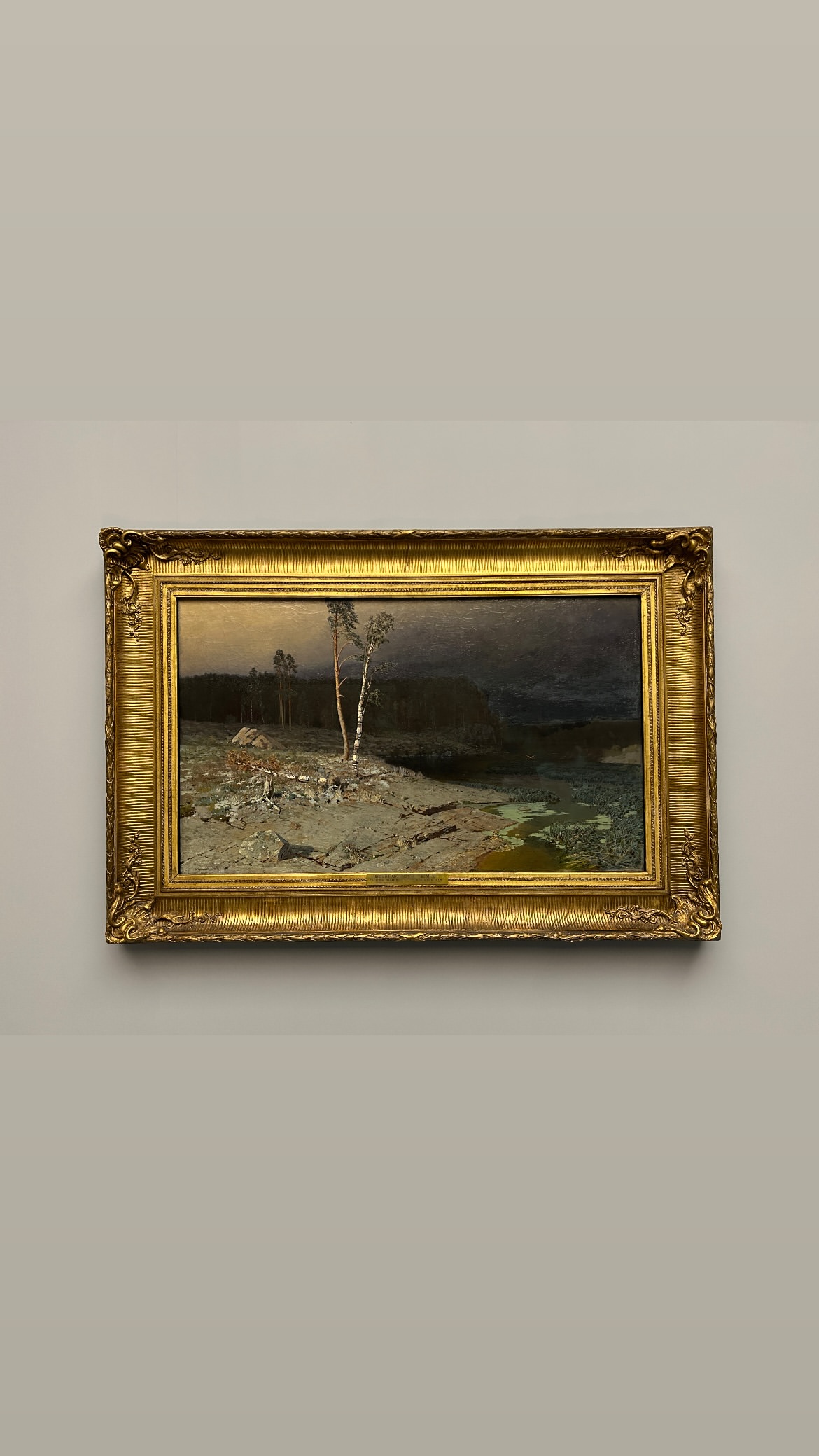 новая фото в сторис @vn_lllin 02.01.2026