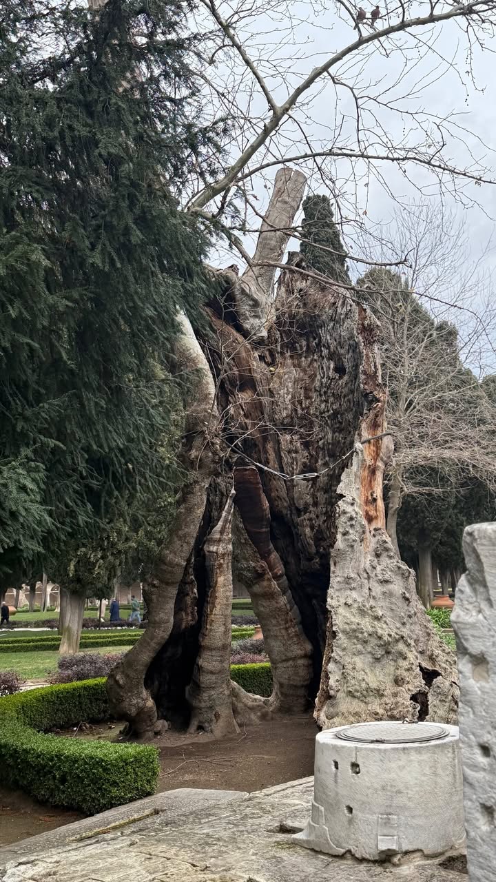 новая фото в сторис @evgeniyadiamond_ 05.01.2026