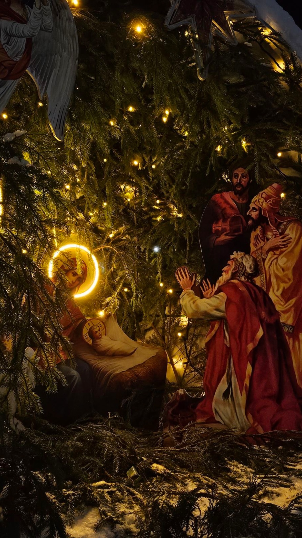 новая фото в сторис @dariiaere 07.01.2026