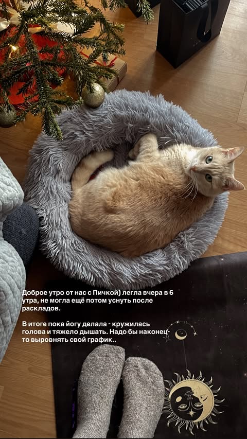 новая фото в сторис @astro__dea 08.01.2026