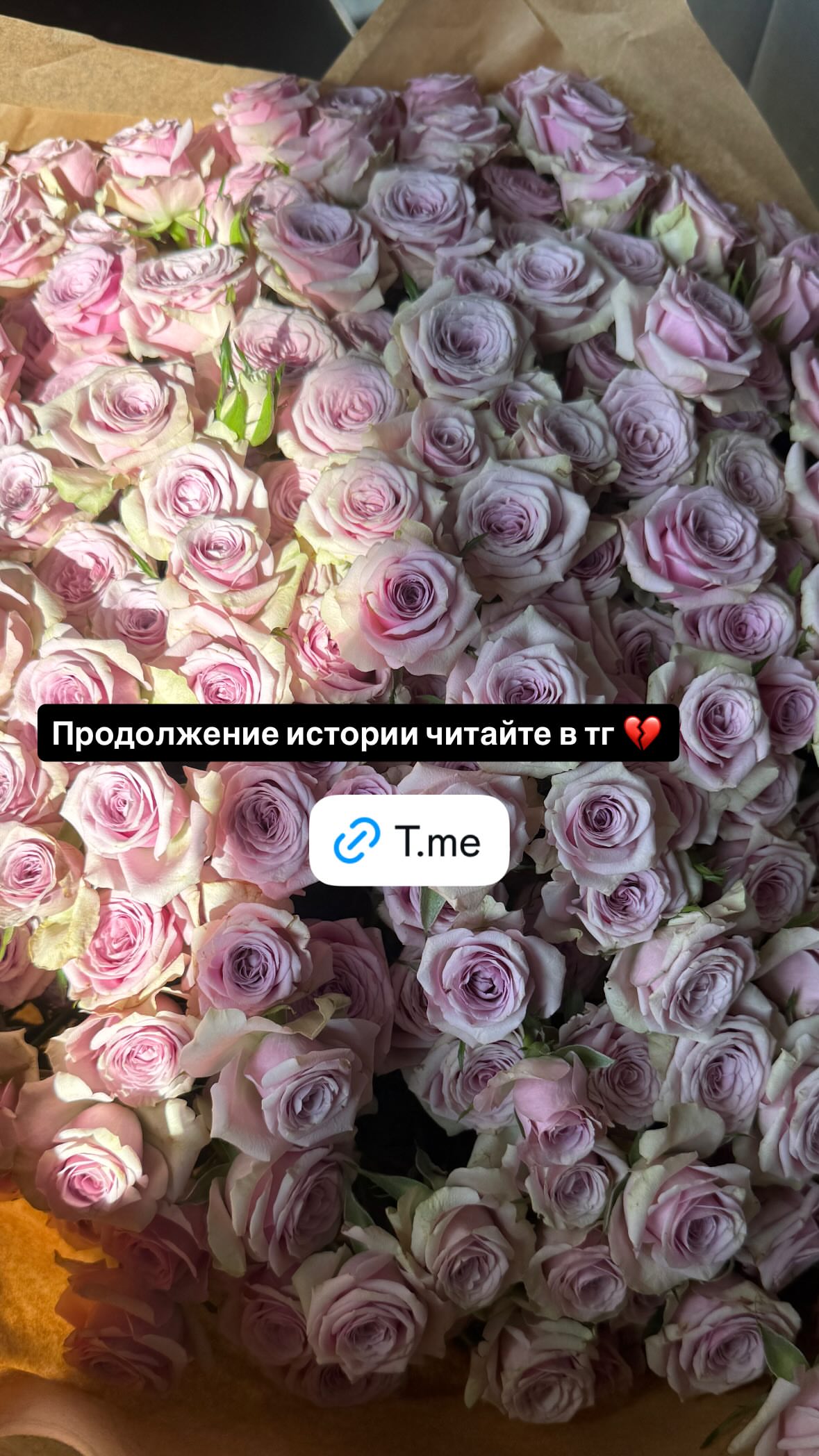 новая фото в сторис @valeriiavas1 08.01.2026