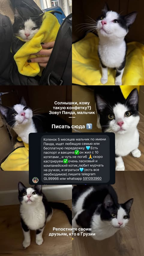 новая фото в сторис @astro__dea 08.01.2026