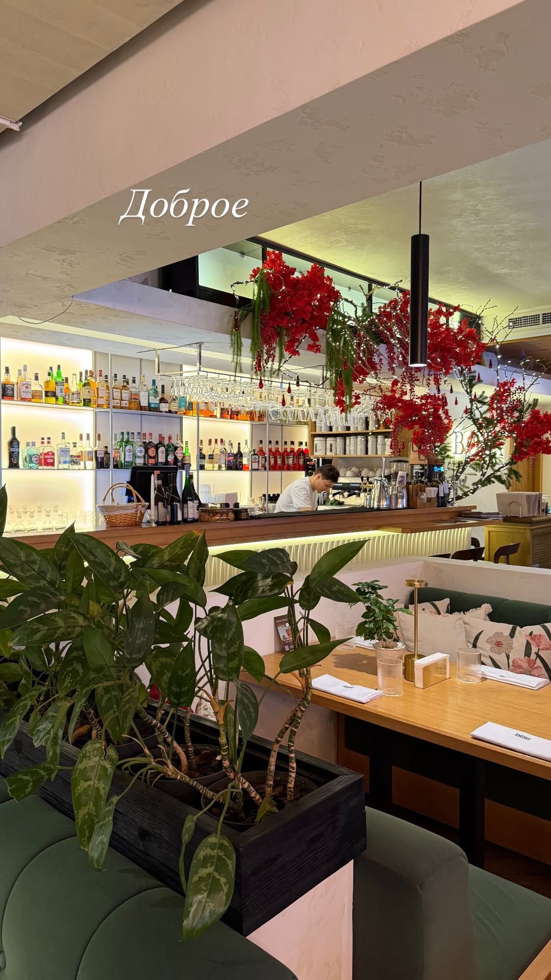 новая фото в сторис @kovalevahair 09.01.2026