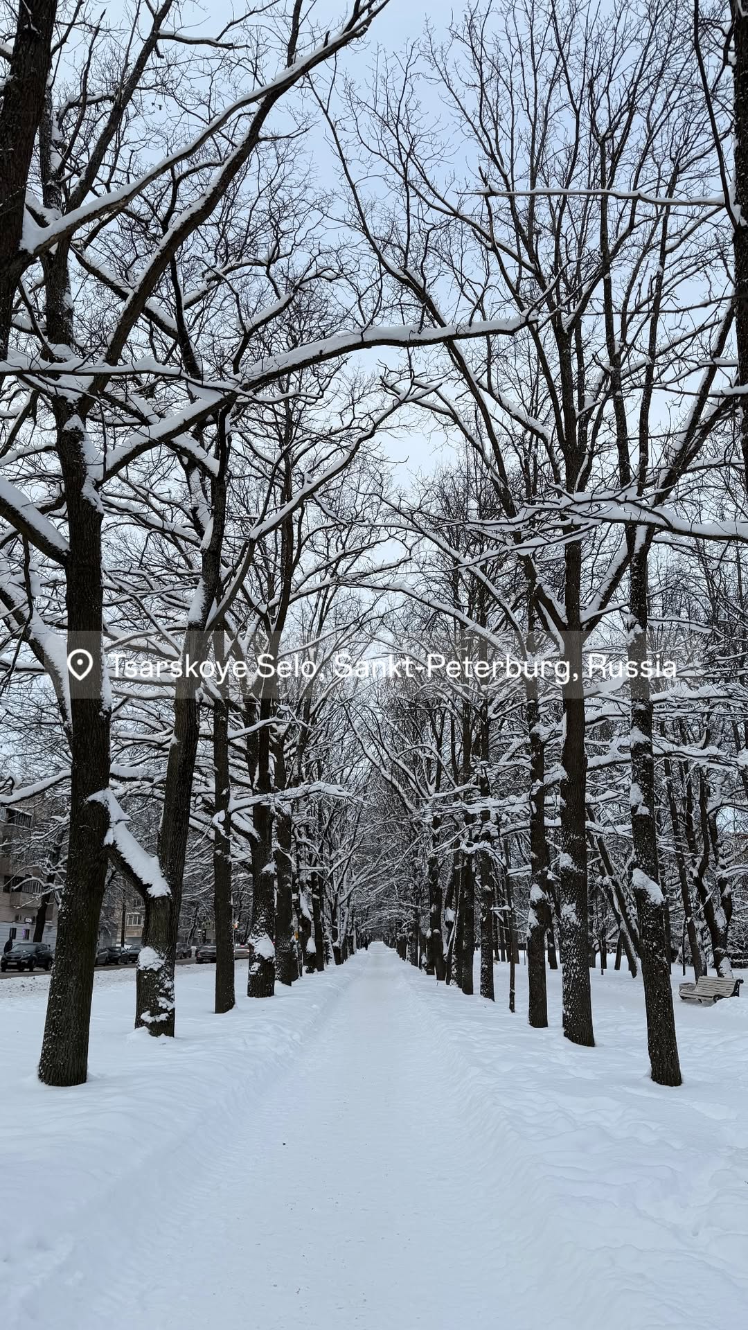 новая фото в сторис @kovalevahair 09.01.2026