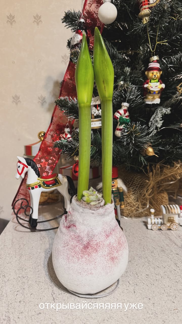 новая фото в сторис @rvb1xan 11.01.2026