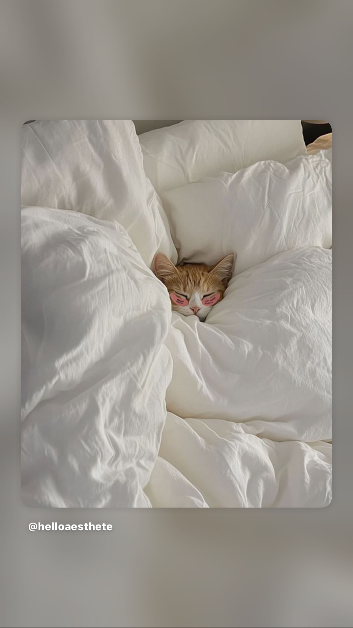 новая фото в сторис @kovalevahair 12.01.2026