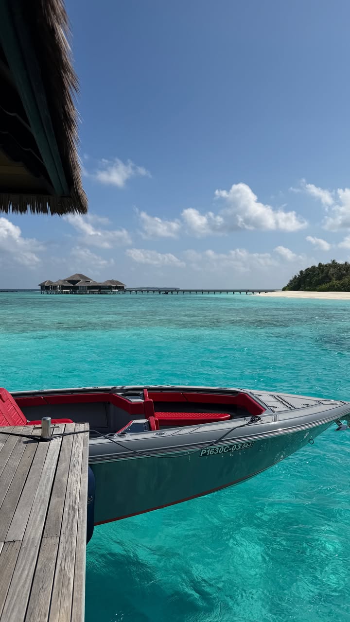 новая фото в сторис @tatianamelnikofficial 13.01.2026