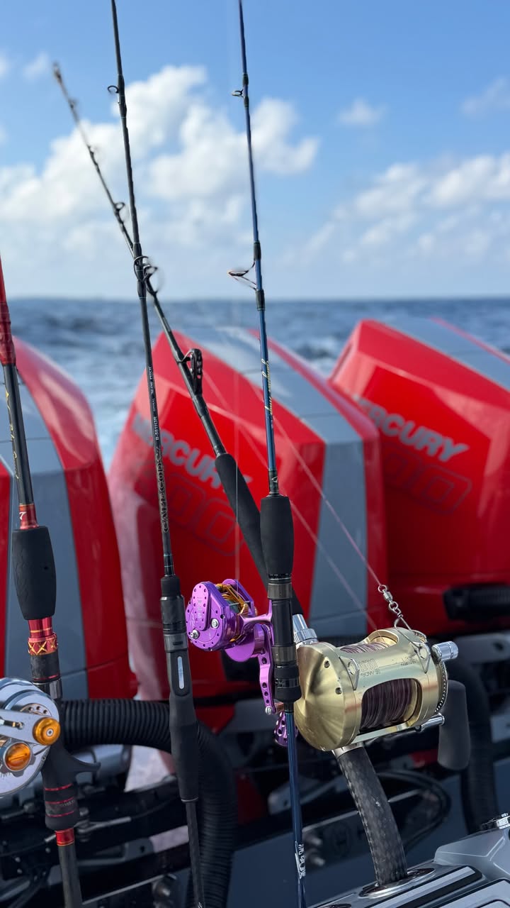 новая фото в сторис @tatianamelnikofficial 13.01.2026