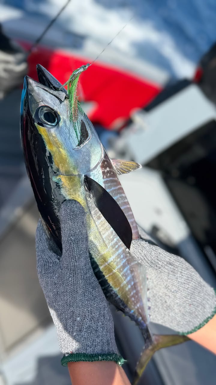 новая фото в сторис @tatianamelnikofficial 13.01.2026