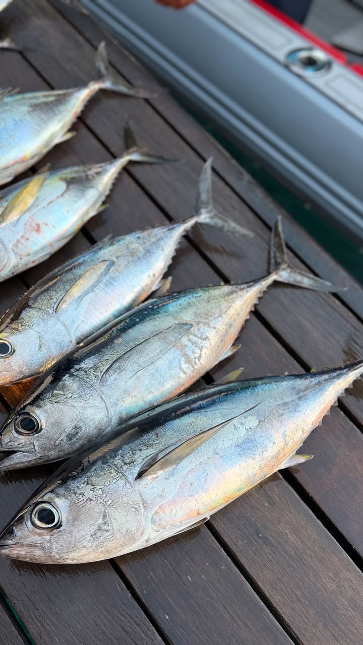 новая фото в сторис @tatianamelnikofficial 13.01.2026