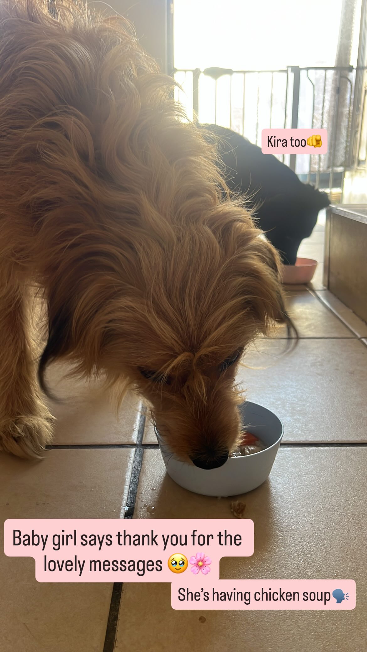 новая фото в сторис @_drac.aii 15.01.2026