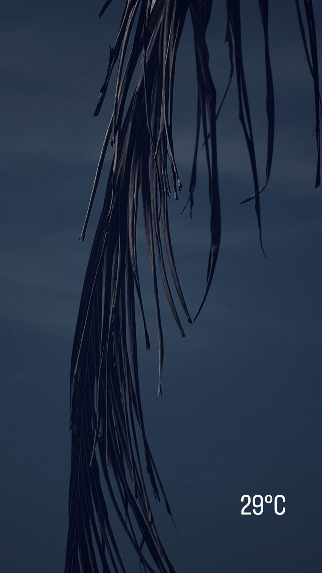 новая фото в сторис @pesenko 16.01.2026