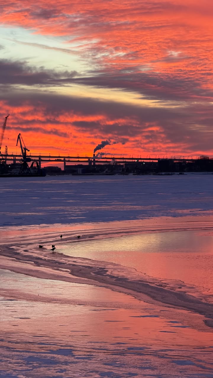 новая фото в сторис @kovalevahair 17.01.2026
