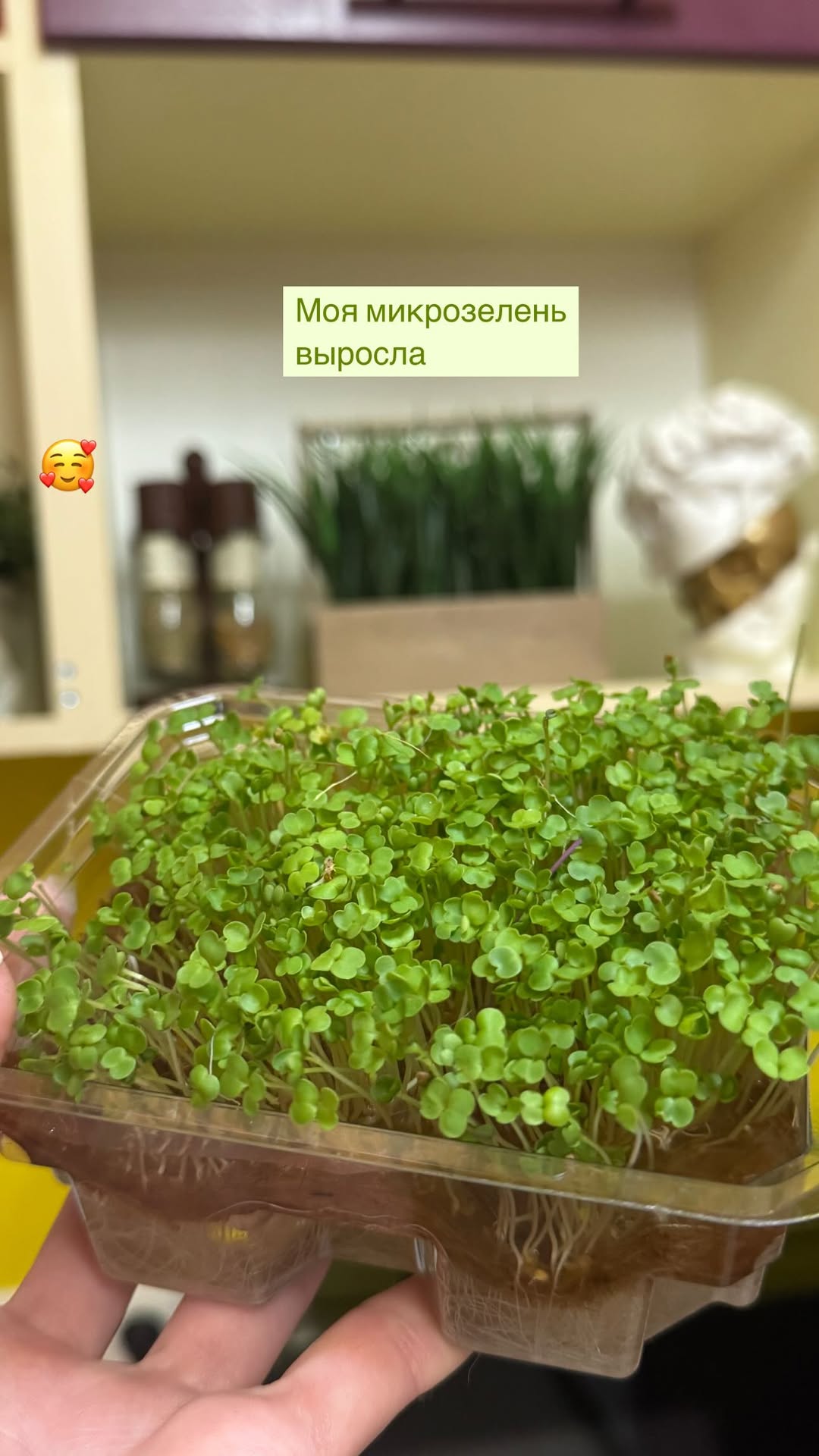 новая фото в сторис @vella_grande_ 18.01.2026