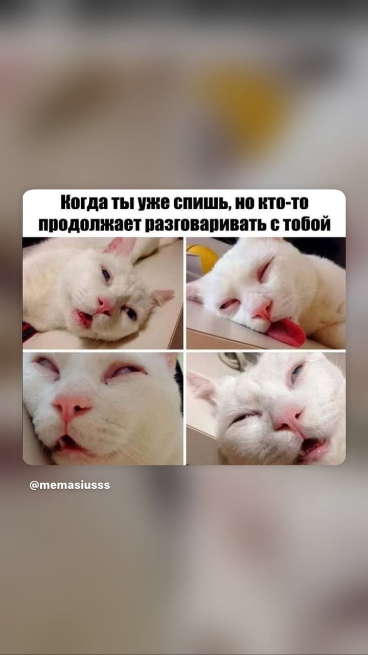 новая фото в сторис @kovalevahair 17.01.2026