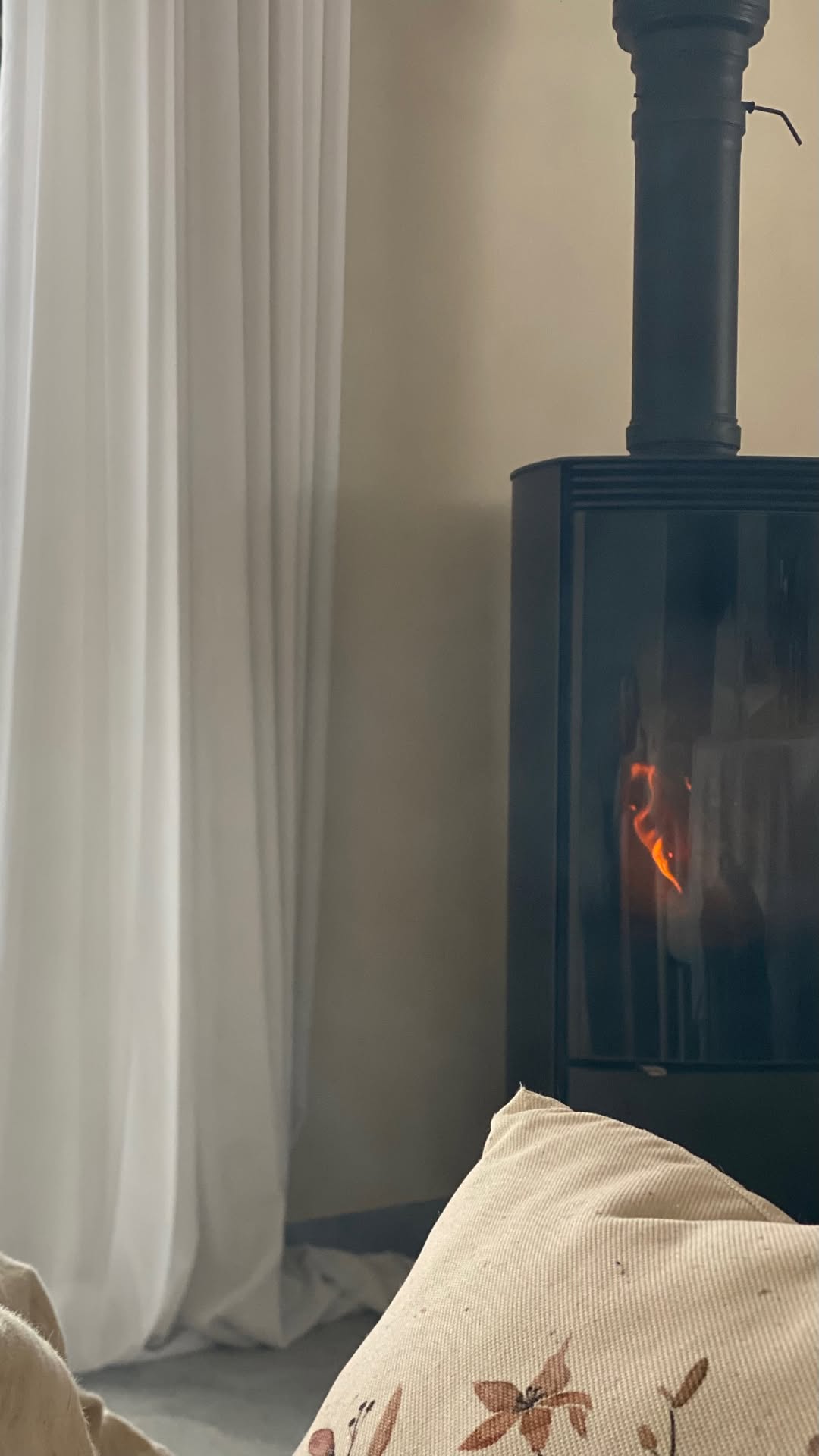 новая фото в сторис @elenpushkareva 20.01.2026