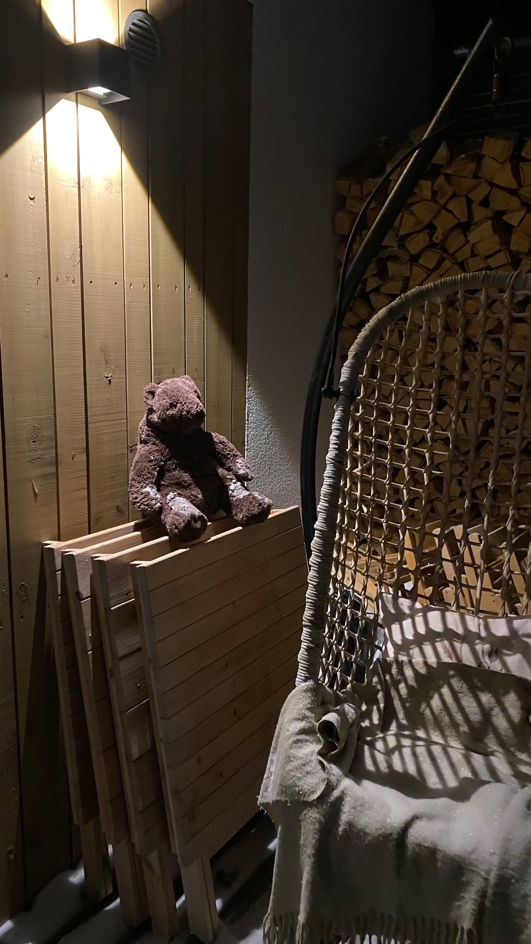 новая фото в сторис @elenpushkareva 20.01.2026