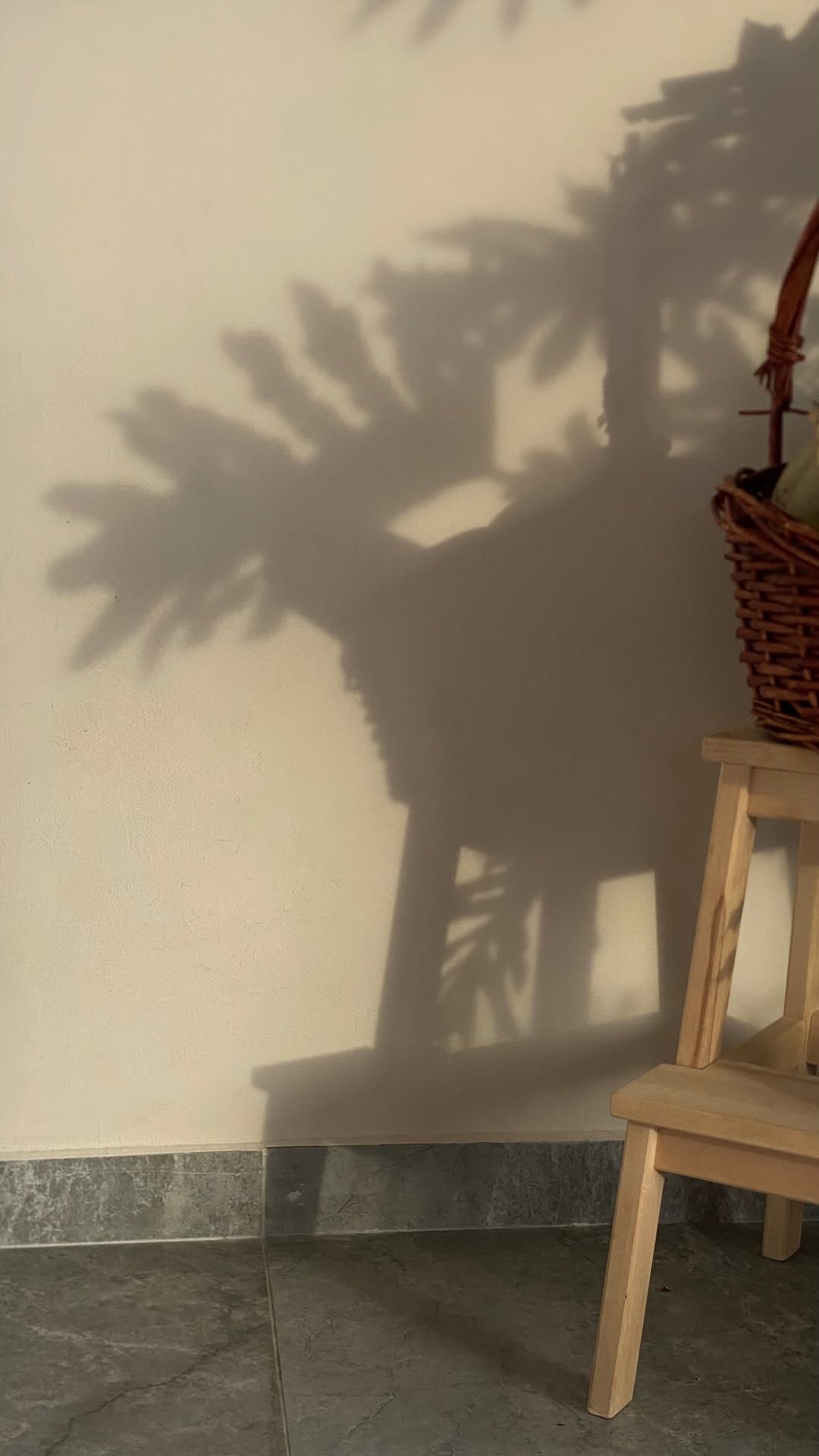 новая фото в сторис @elenpushkareva 20.01.2026