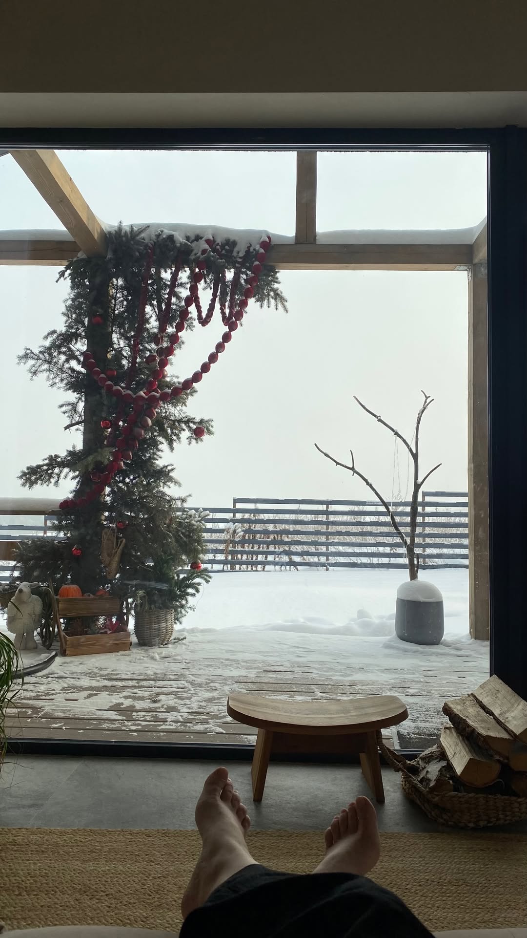 новая фото в сторис @elenpushkareva 20.01.2026