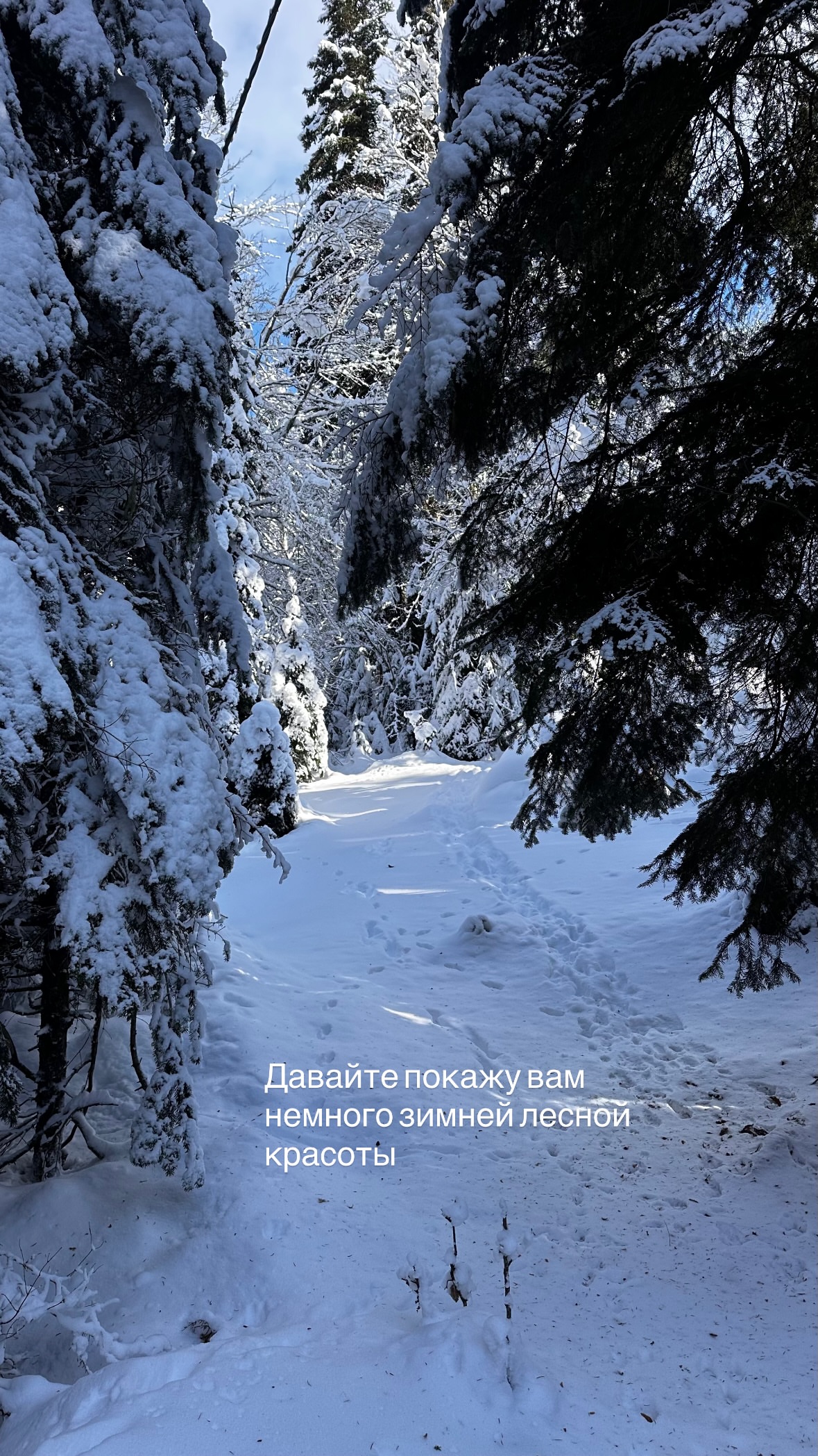 новая фото в сторис @svpogodina 22.01.2026