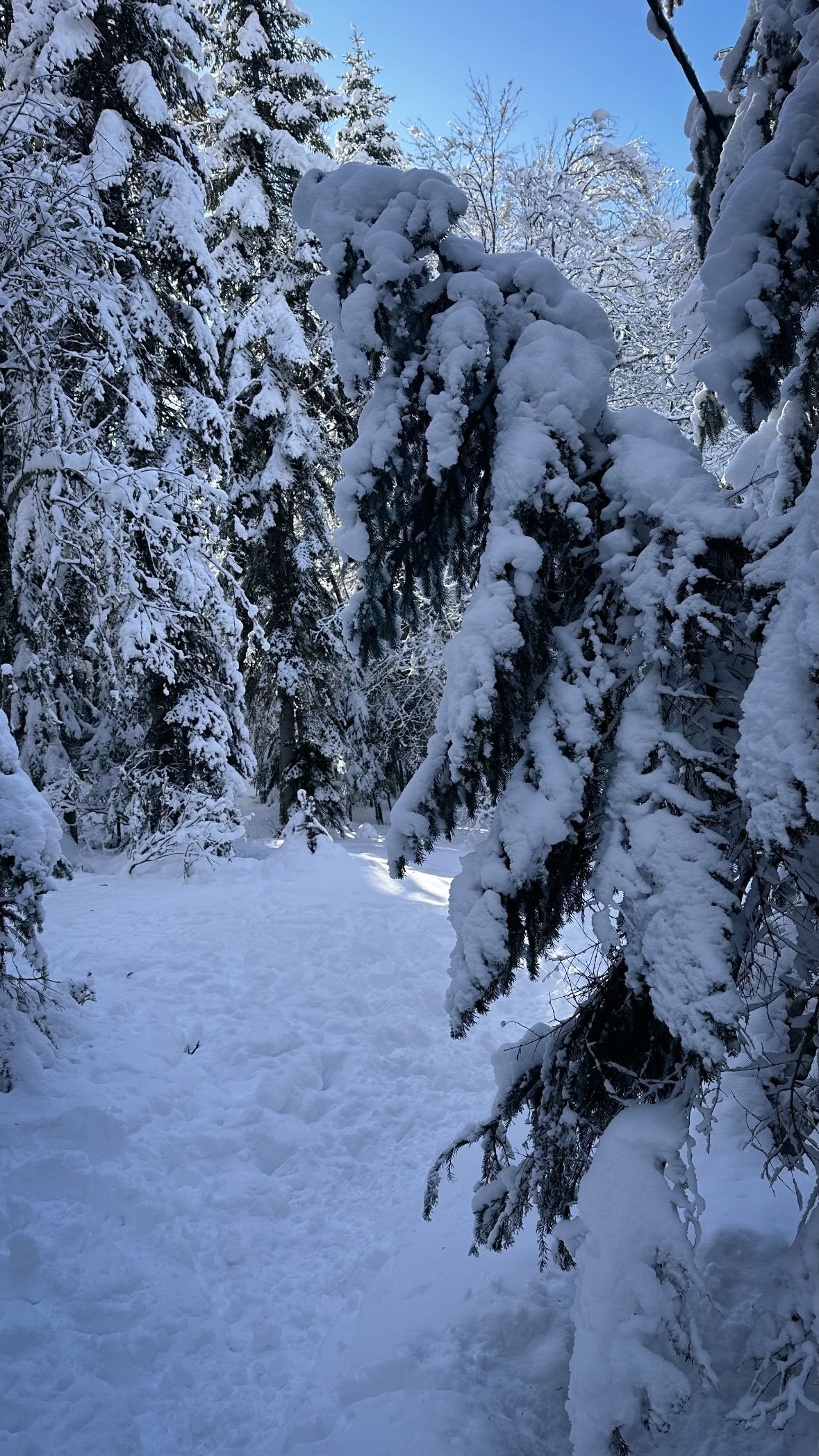 новая фото в сторис @svpogodina 22.01.2026