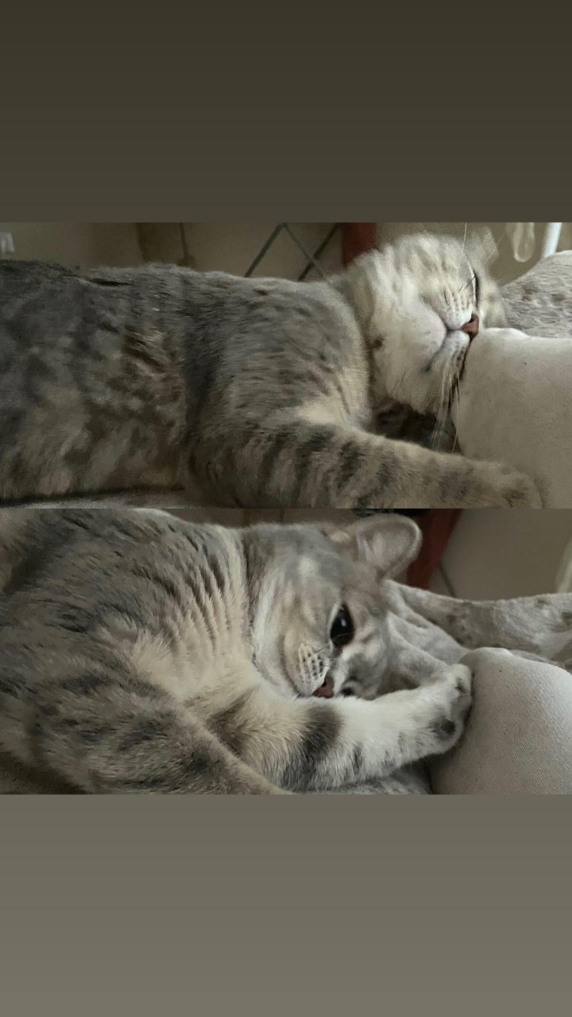 новая фото в сторис @lerabog96 23.01.2026