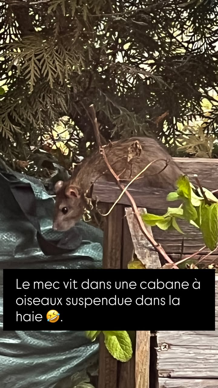 новая фото в сторис @oriskaofficial 23.01.2026