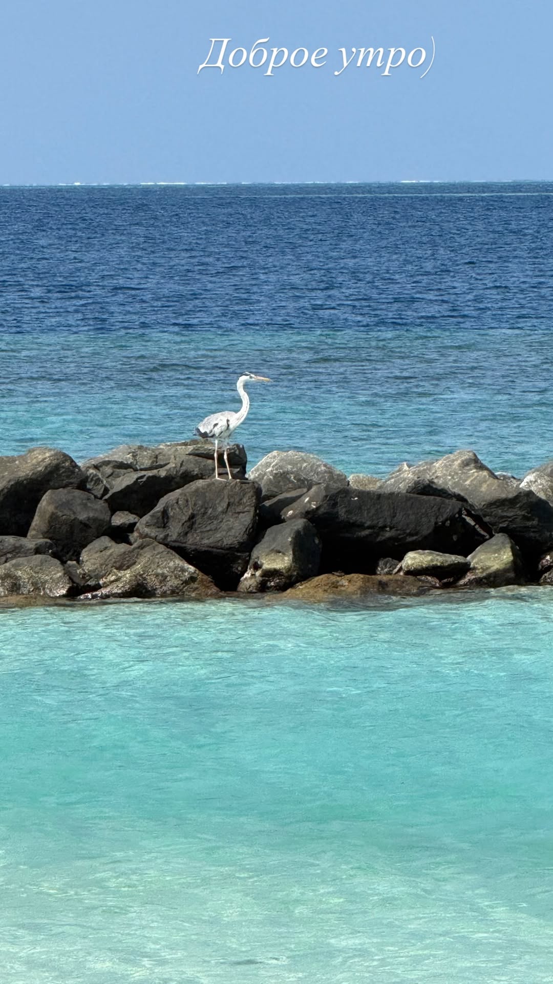 новая фото в сторис @olgaorlova1311 23.01.2026