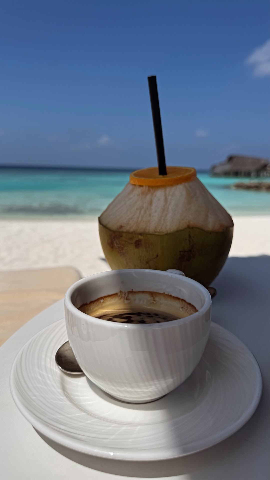 новая фото в сторис @olgaorlova1311 23.01.2026