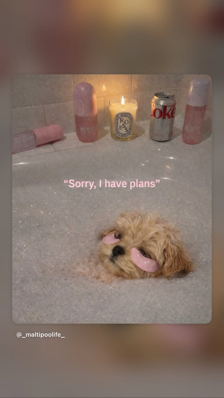 новая фото в сторис @nadidi_ 24.01.2026