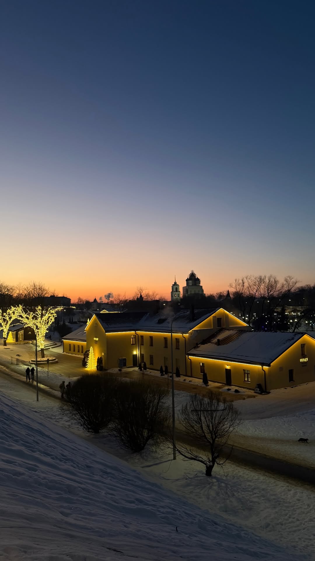 новая фото в сторис @kovalevahair 24.01.2026