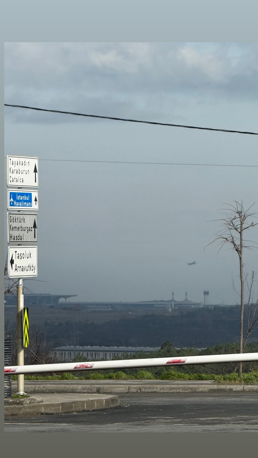 новая фото в сторис @sv_vitaliya__ 25.01.2026