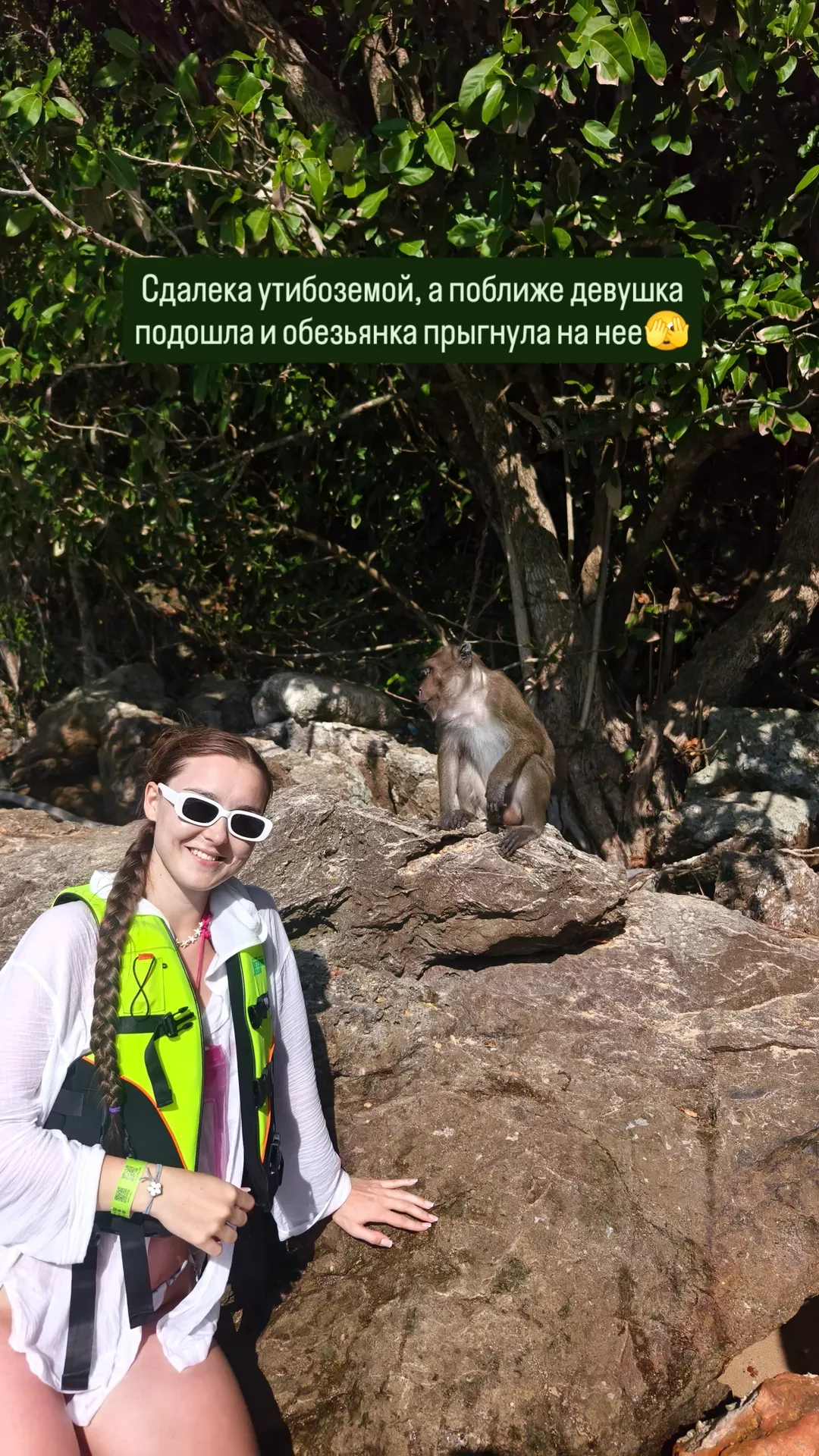 новая фото в сторис @sa.shunka 26.01.2026