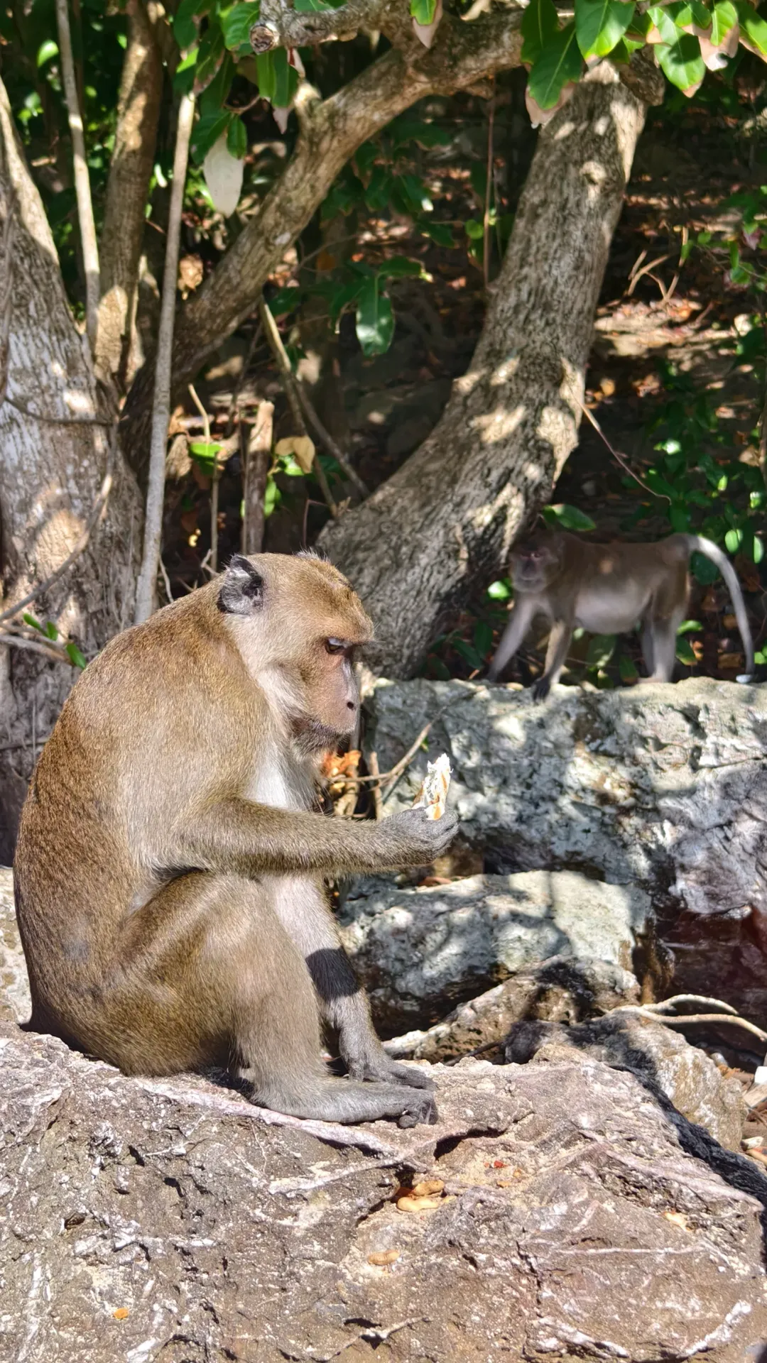 новая фото в сторис @sa.shunka 26.01.2026