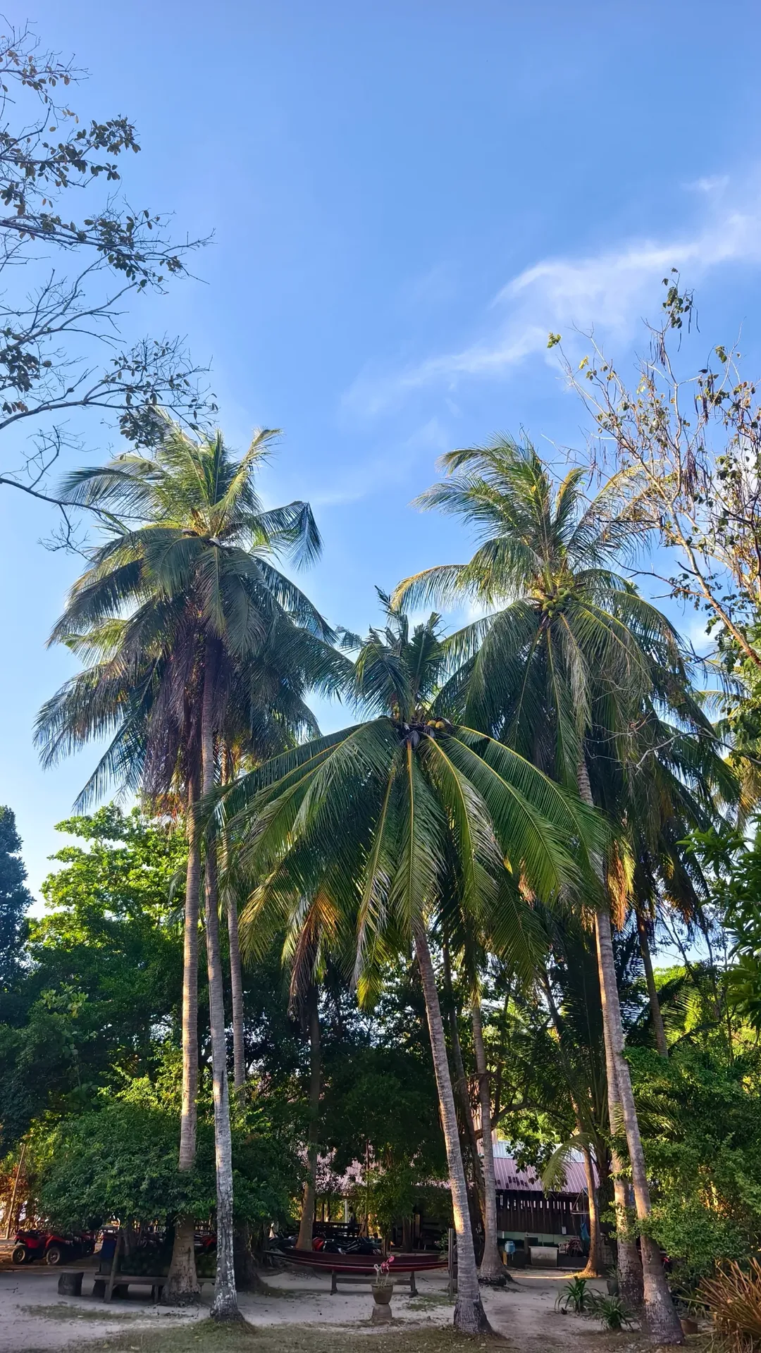 новая фото в сторис @sa.shunka 26.01.2026