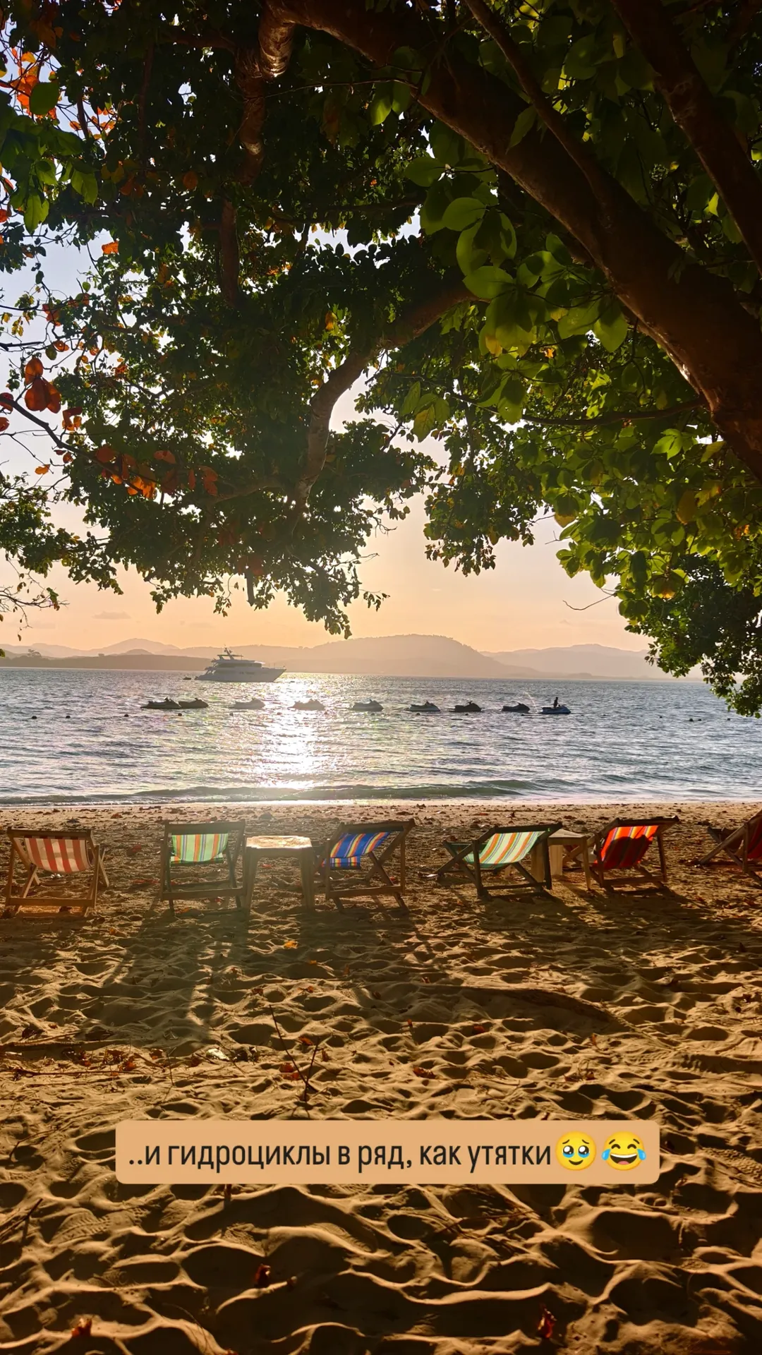 новая фото в сторис @sa.shunka 26.01.2026