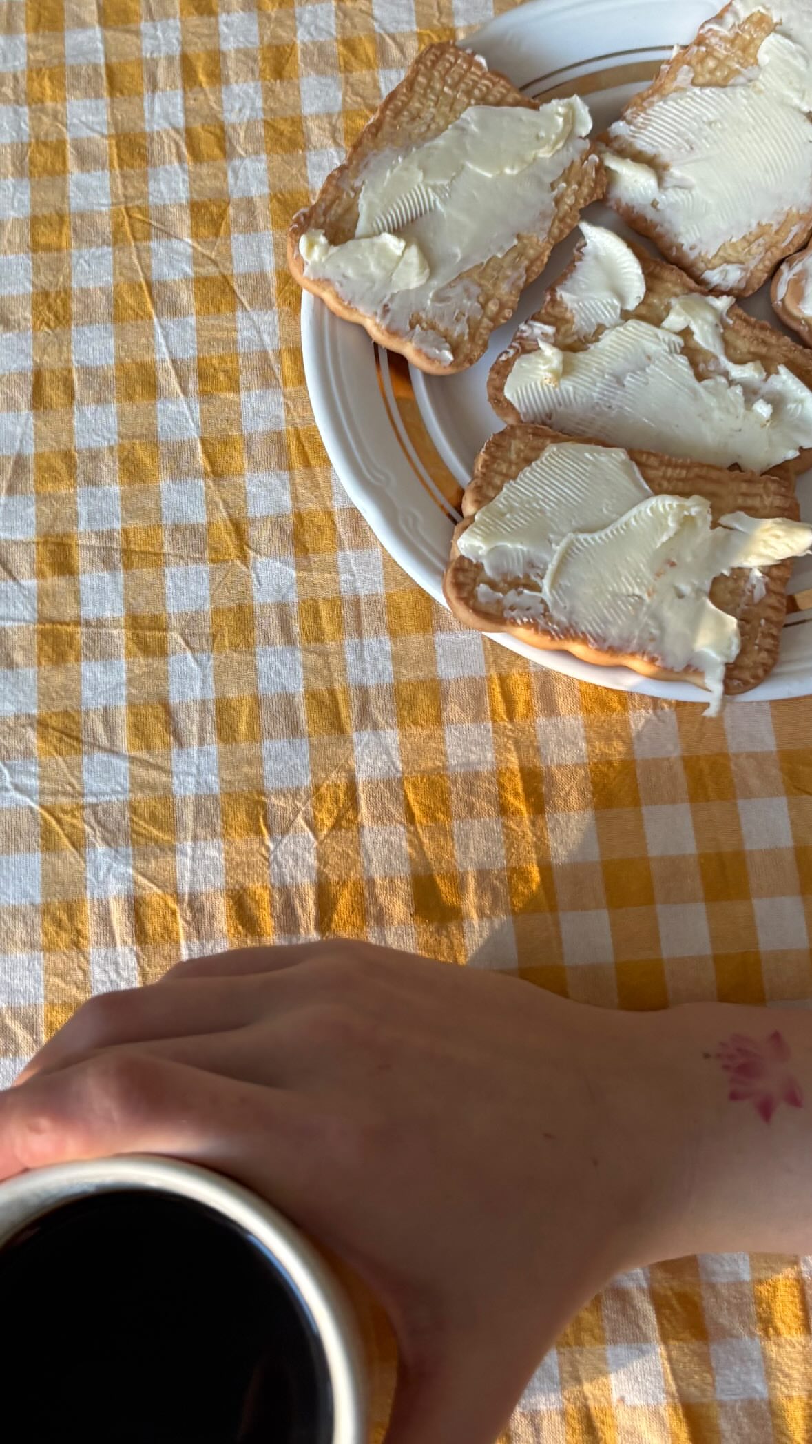 новая фото в сторис @dash.ne.dash 26.01.2026