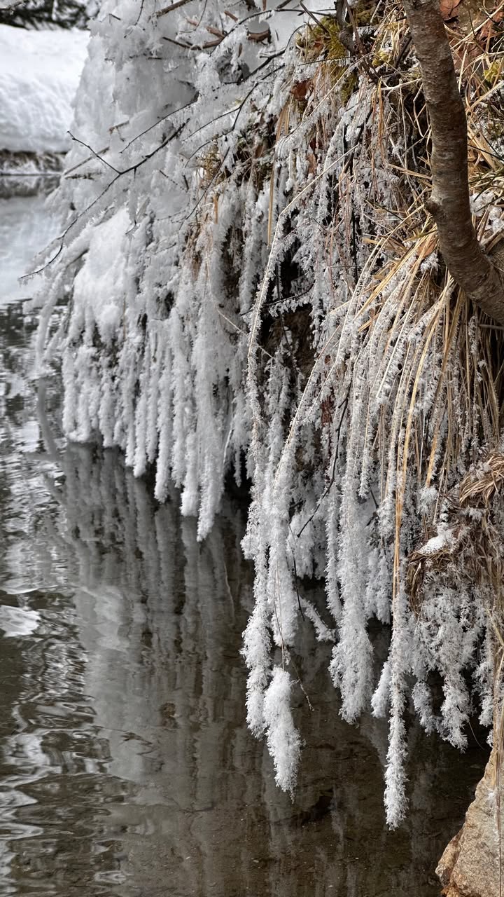 новая фото в сторис @svpogodina 26.01.2026